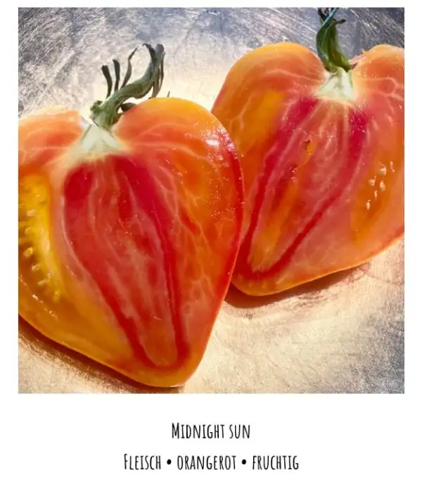 Tomaten: Midnight Sun