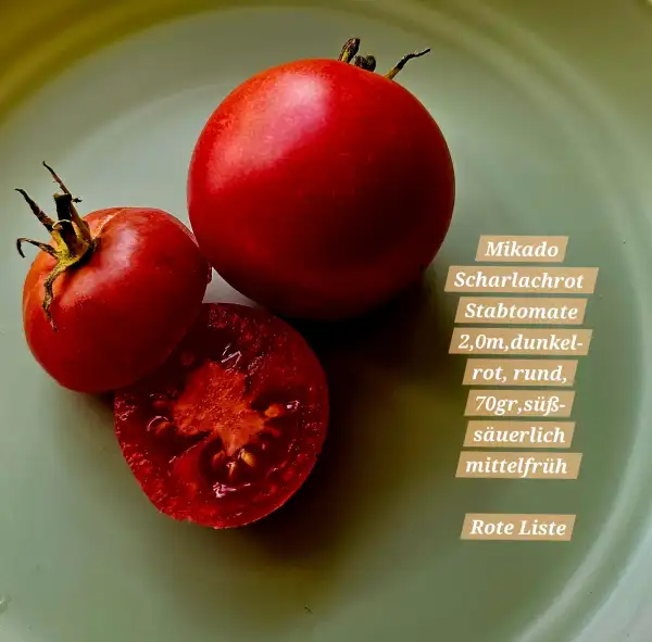 Tomaten: Mikado Scharlachrot