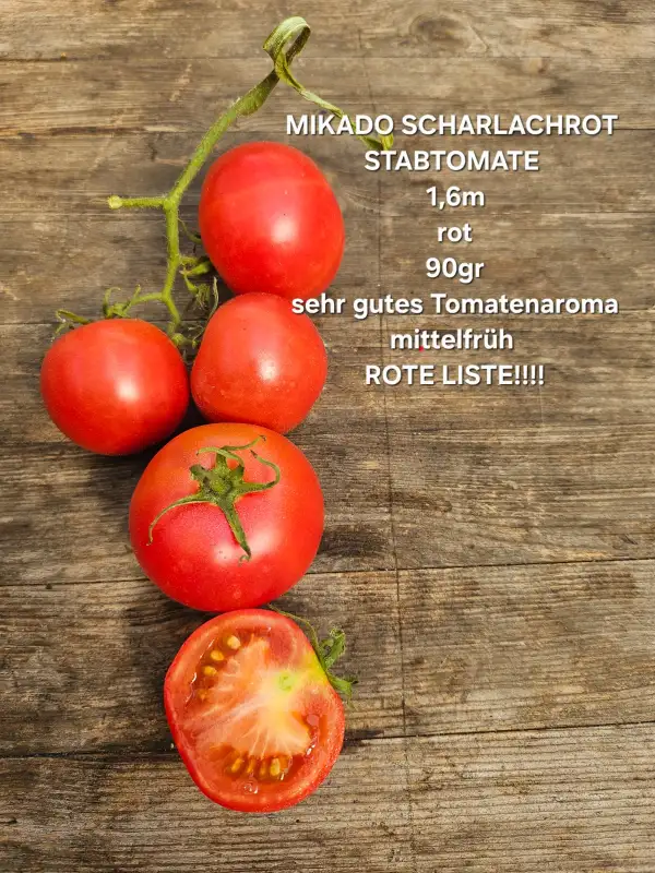 Tomaten: Mikado Scharlachrot