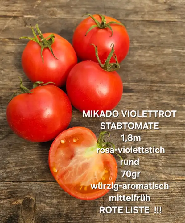 Tomaten: Mikado Violettrot