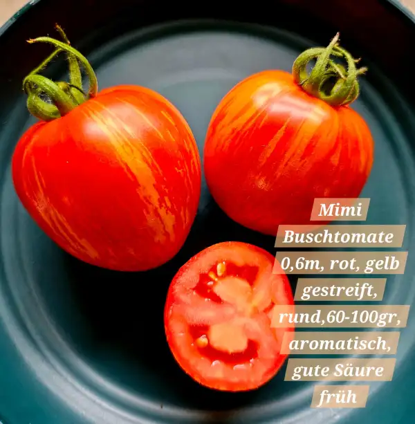 Tomaten: Mimi