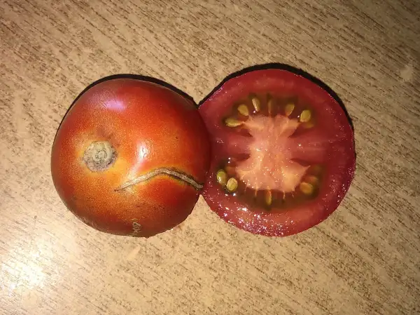 Tomaten: Minerkikorai