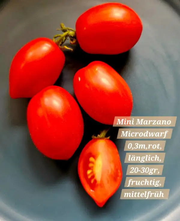 Tomaten: Mini marzano