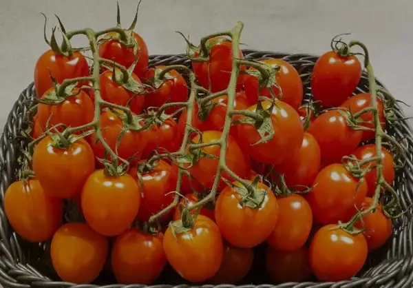 Tomaten: Mini Roma