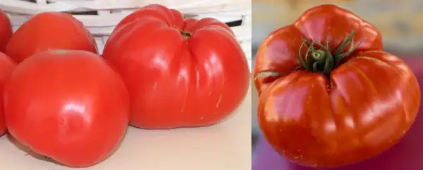 Tomaten: Minusinsker Grushanka