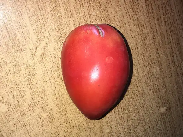Tomaten: Minusinskie Stakany Rozovyi