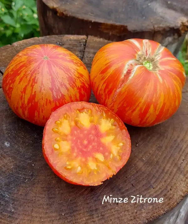 Tomaten: Minze Zitrone