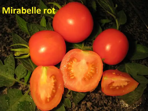 Tomaten: Mirabelle rot