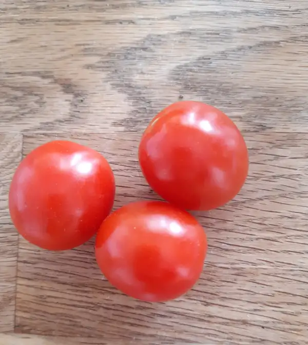 Tomaten: Miri Miri