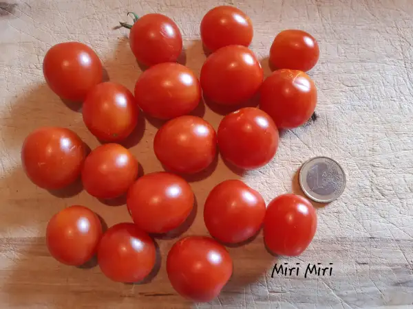 Tomaten: Miri Miri