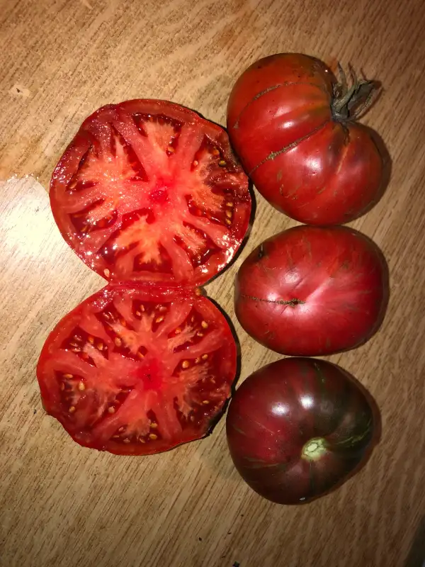 Tomaten: Mississippi Queen