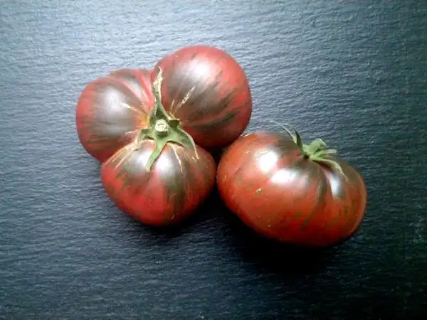 Tomaten: Mississippi Queen