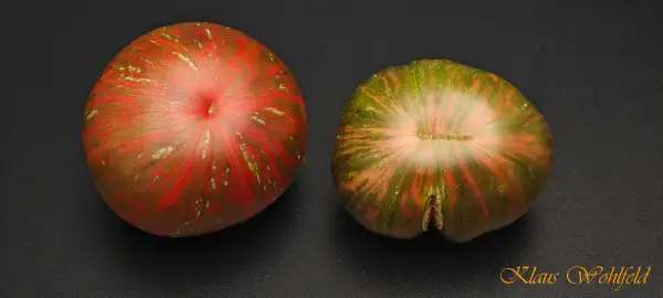 Tomaten: Mississippi Queen Dwarf