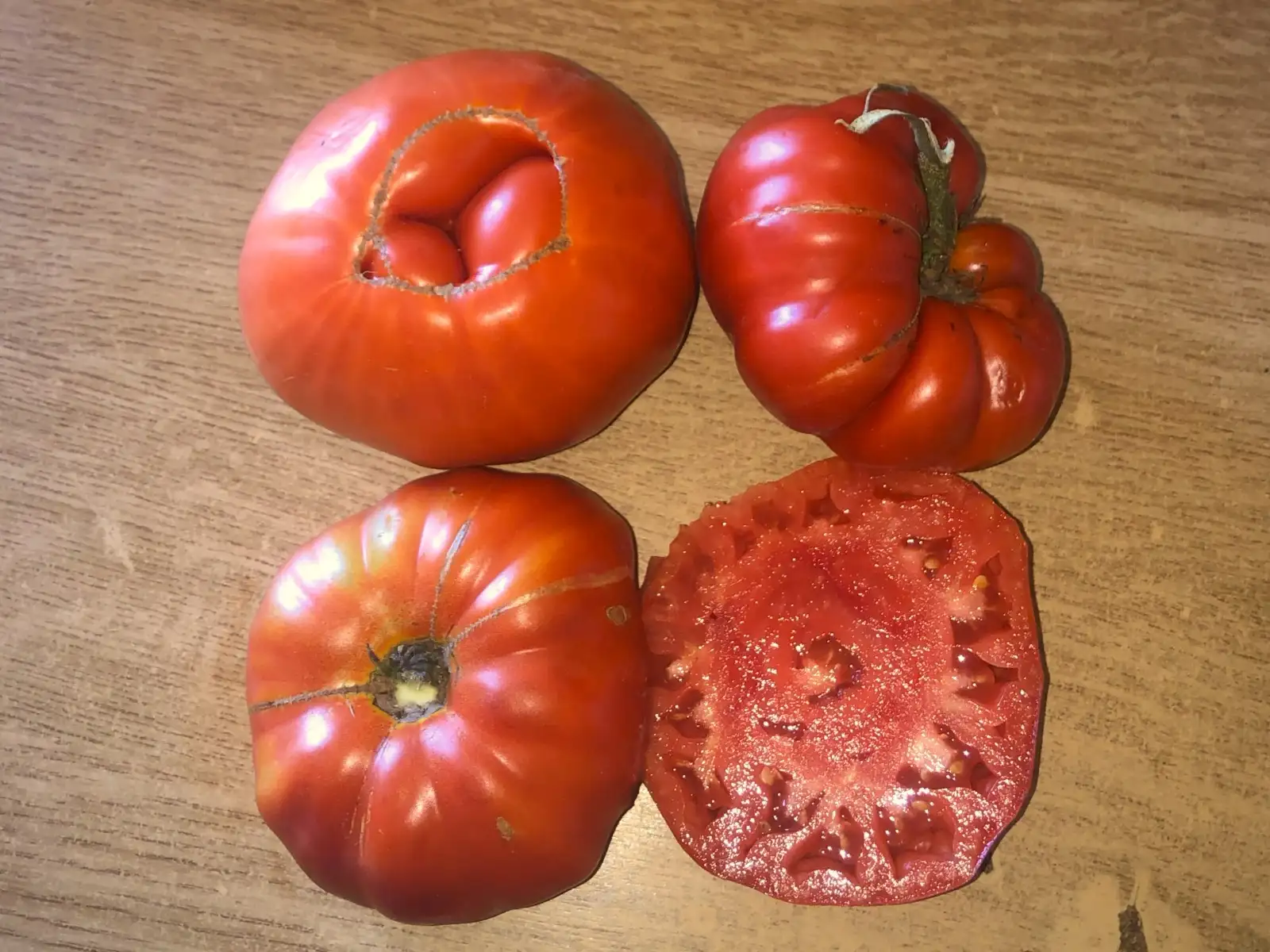 Tomaten: Mme. Hauche