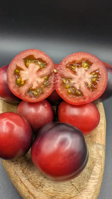Tomaten: Mochas Cherry (Dwarf)