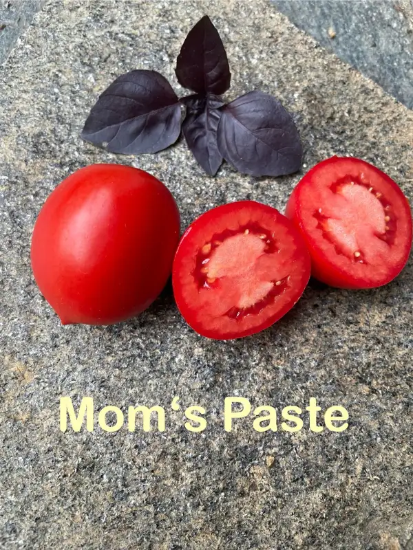 Tomaten: Mom‘s Paste