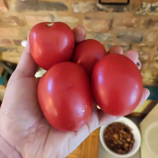 Tomaten: Mom