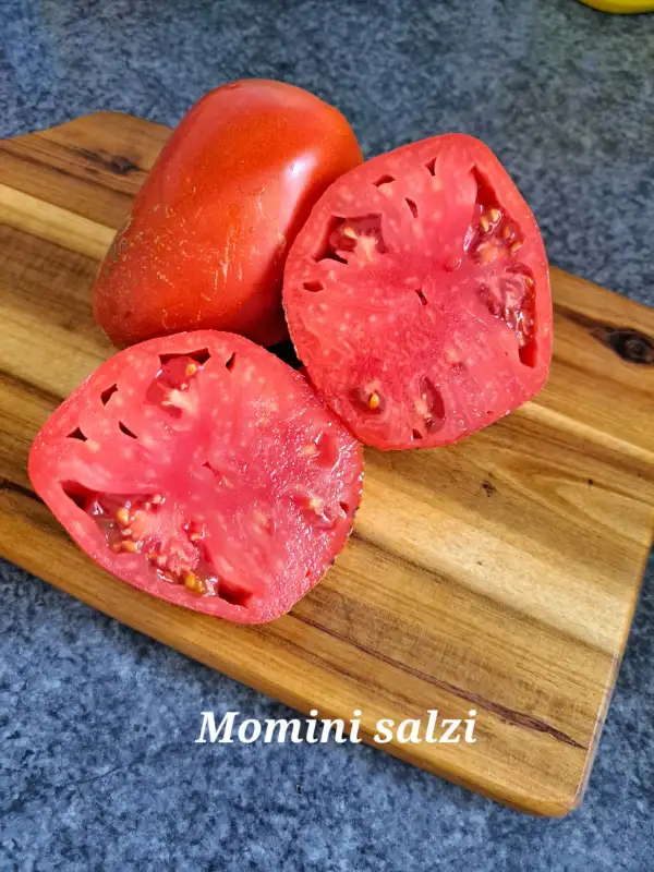 Tomaten: Momini salzi