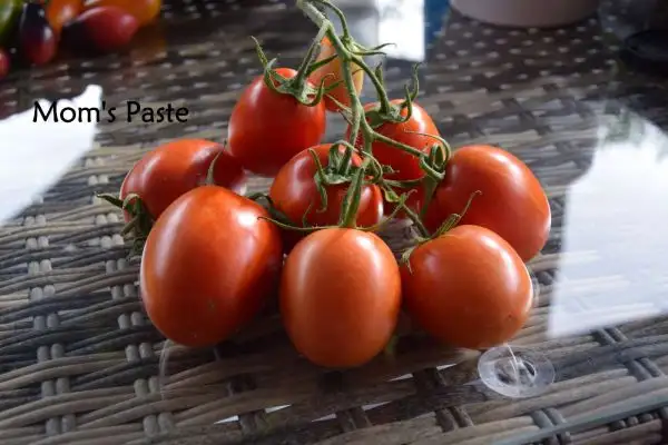 Tomaten: Moms Paste