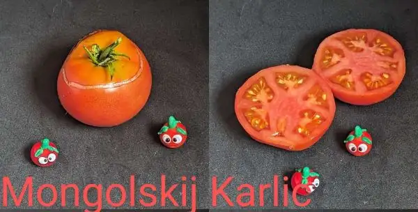 Tomaten: Mongolskiy Karlic