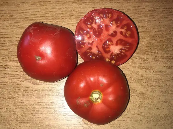Tomaten: Mongolskiy Karlik