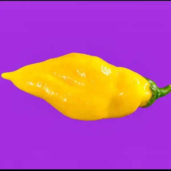 Chili / Paprika: Monkey Face