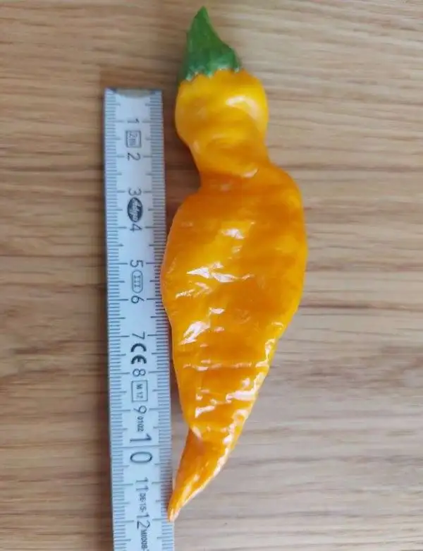 Chili / Paprika: Monkeyface Yellow