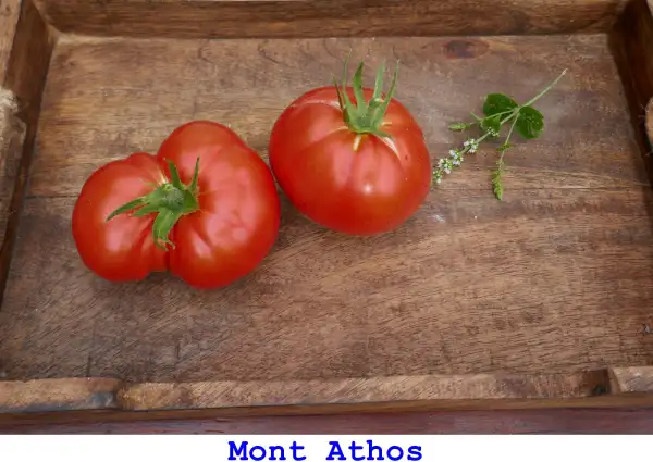 Tomaten: Mont Athos