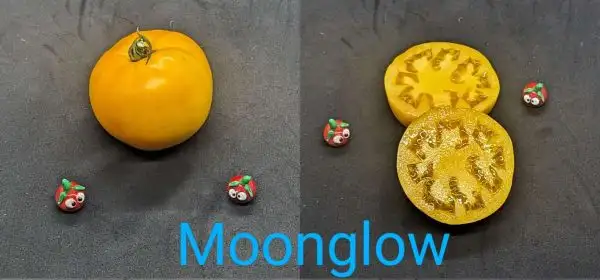 Tomaten: Moonglow