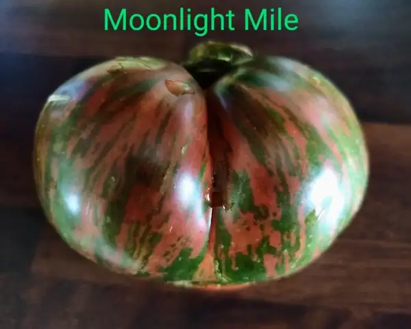 Tomaten: Moonlight Mile,