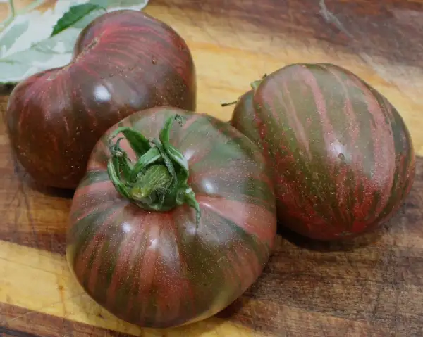 Tomaten: Moonlight mile
