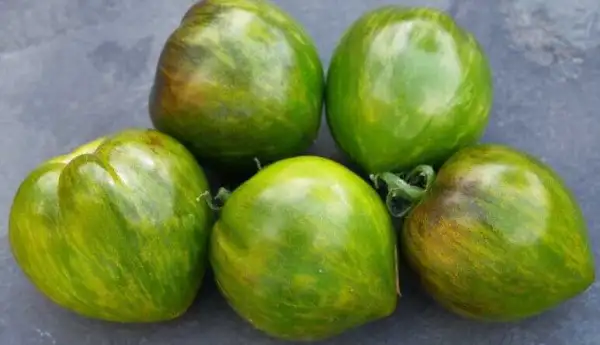 Tomaten: Moonstone