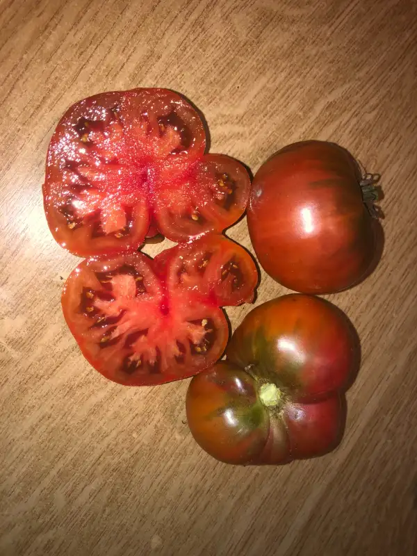 Tomaten: Morado de San Marcos