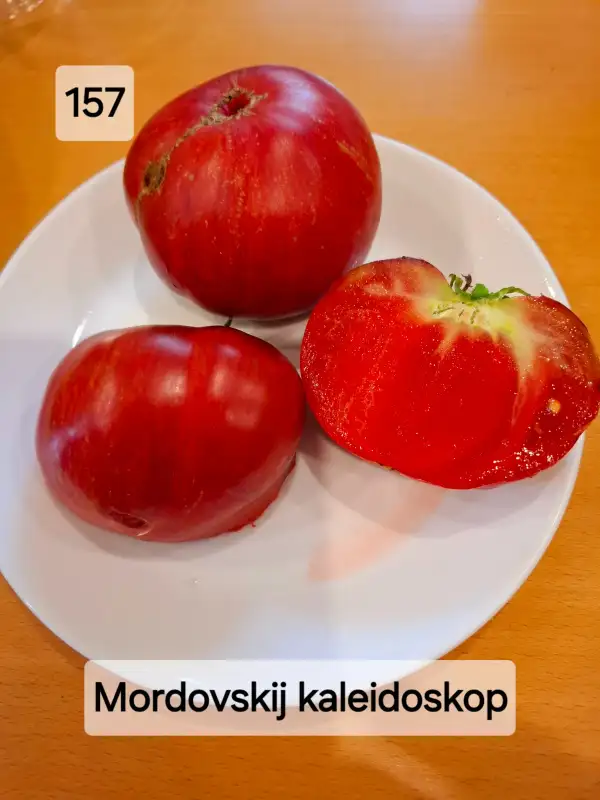 Tomaten: Mordovian kaleidoscope