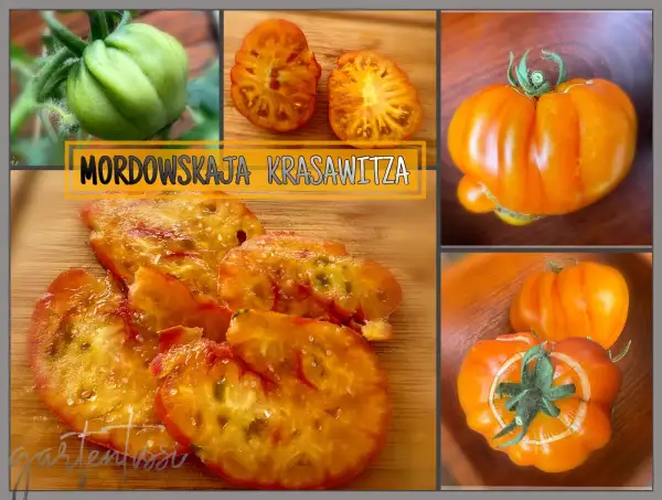 Tomaten: Mordowian Beauty