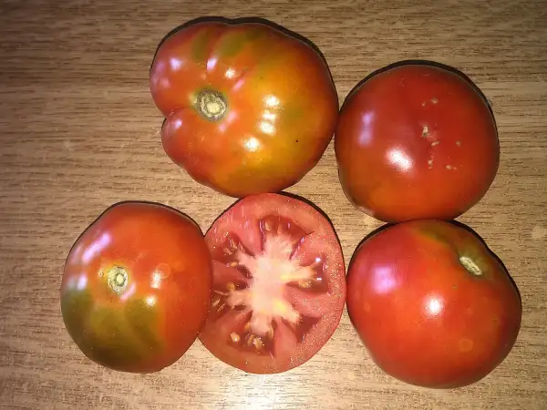 Tomaten: Mormon 50 Days