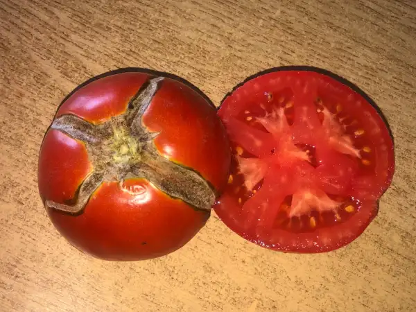 Tomaten: Moruno de Aranjuez