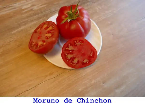 Tomaten: Moruno De Chinchon