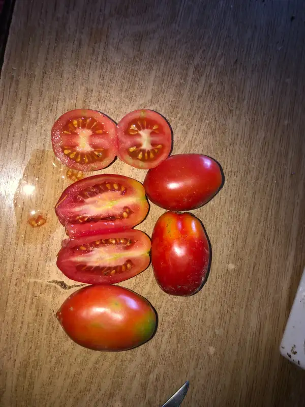 Tomaten: Moskovskij Delikatess