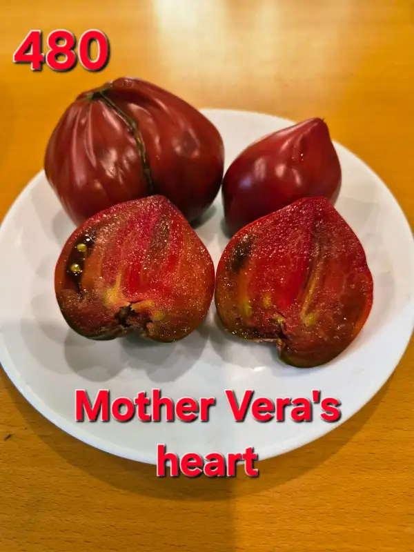 Tomaten: Mother Vera