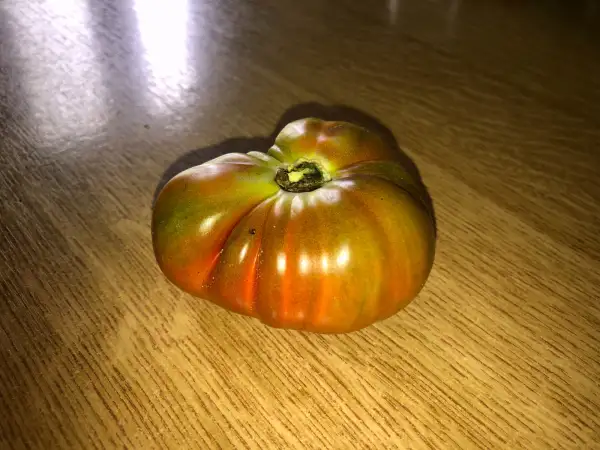 Tomaten: Moya Noire