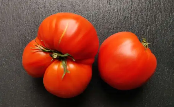 Tomaten: Mrs. Schlaubaugh’s Famous Strawberry