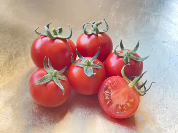 Tomaten: Muchacha