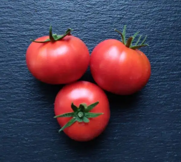 Tomaten: Muchamiel