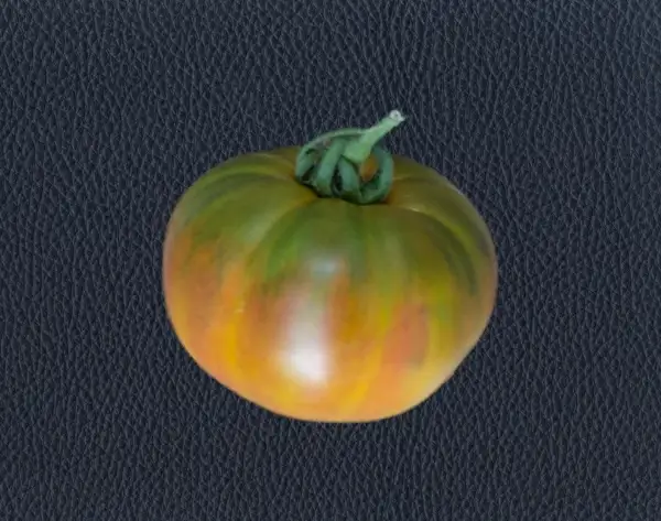 Tomaten: Muddy Mamba