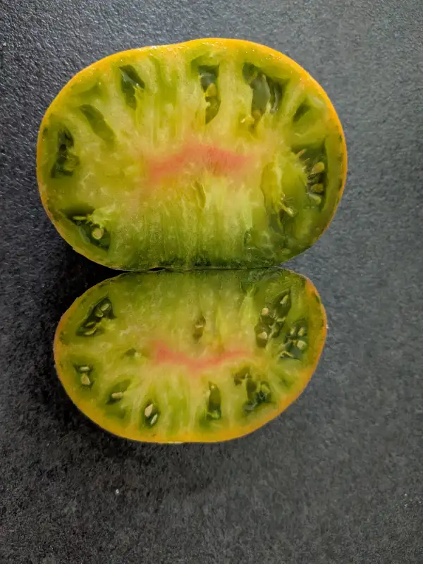 Tomaten: Muddy Mumba