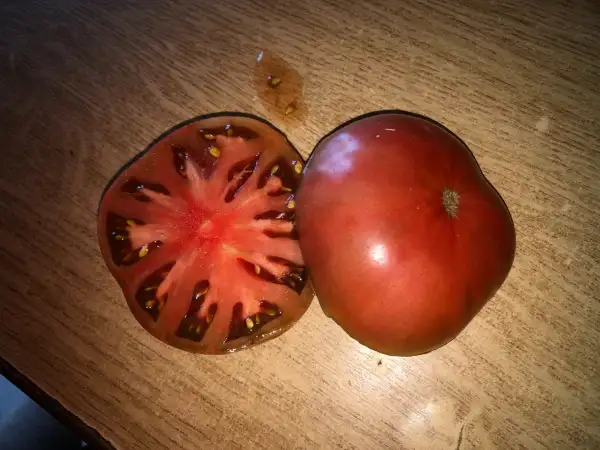 Tomaten: Mulatto