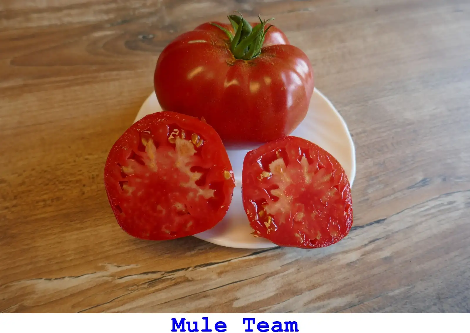Tomaten: Mule Team