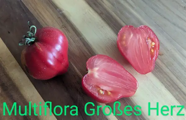 Tomaten: Multiflora Großes Herz