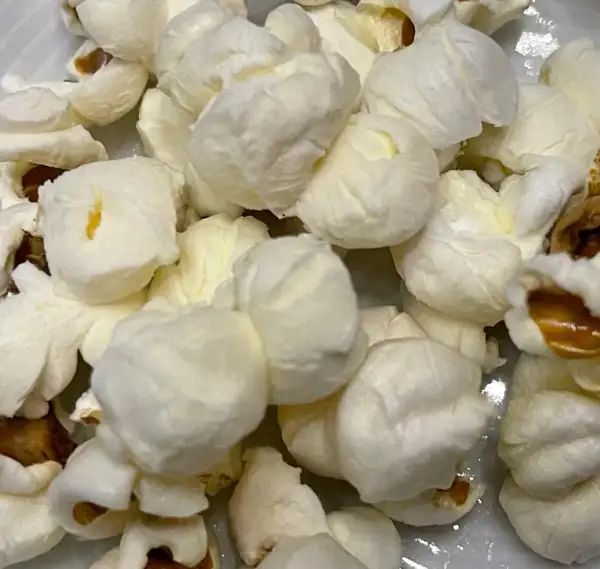Mais: Mushroom - Popcornmais
